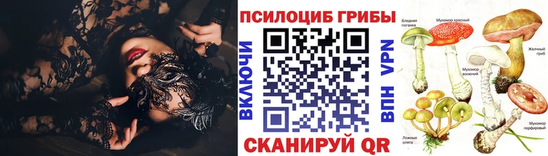 Псилоцибиновые грибы мицелий  omg ONION  Апрелевка 